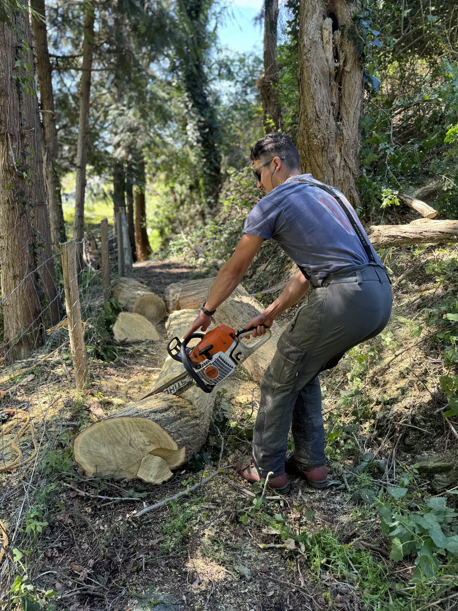 Utilisation de techniques d'élagage respectueuses de la biodiversité.