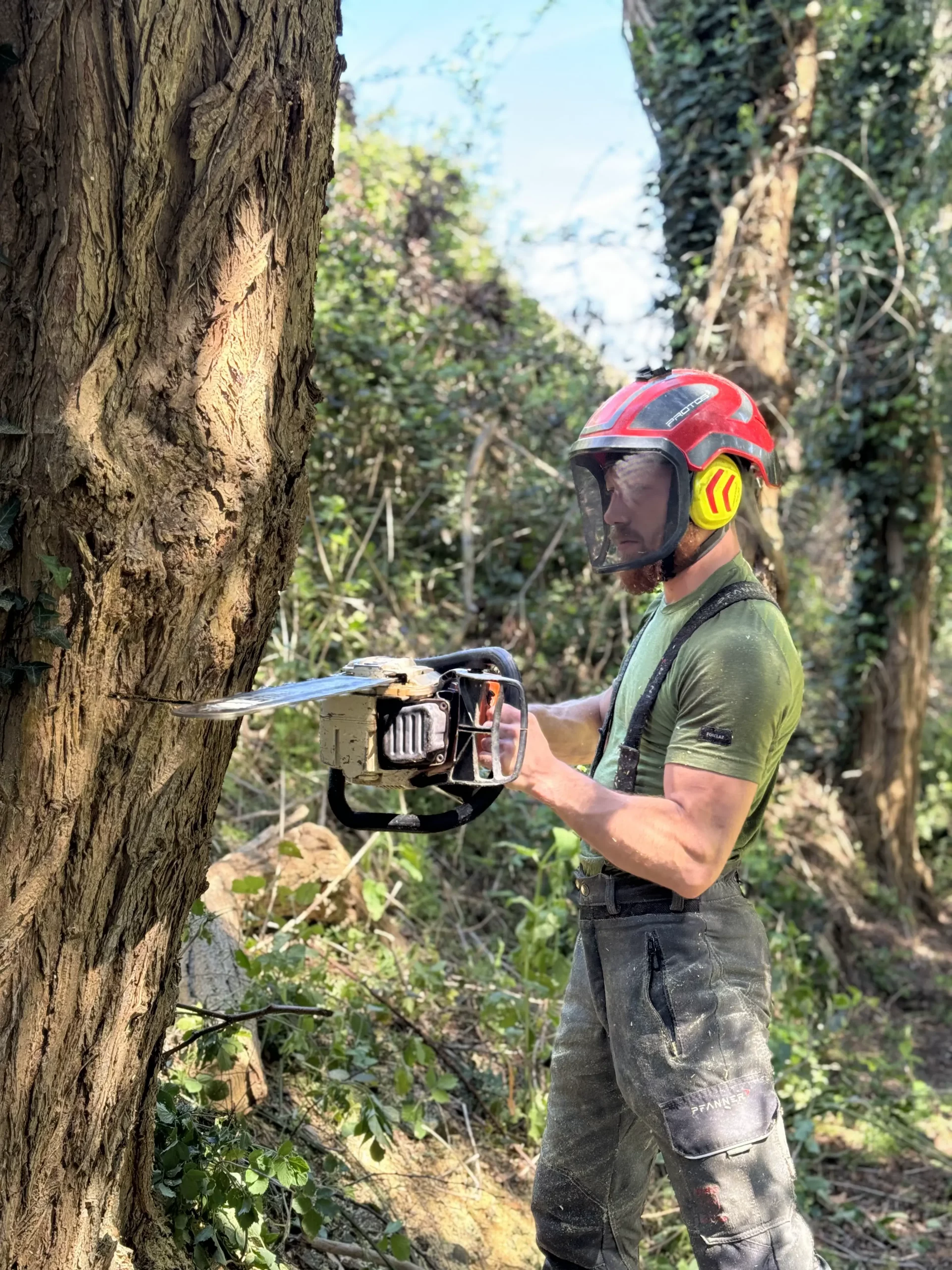 Nos élagueurs travaillent toute l'année pour l'entretien de vos arbres.