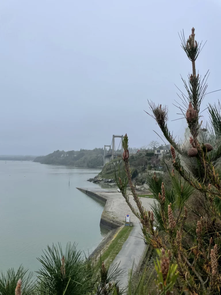 Intervention Buet Environnement contre les chenilles processionnaires