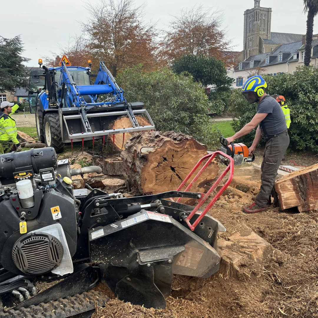 Chantier de rognage de souche, tracteur et opérateur Buet Environnement