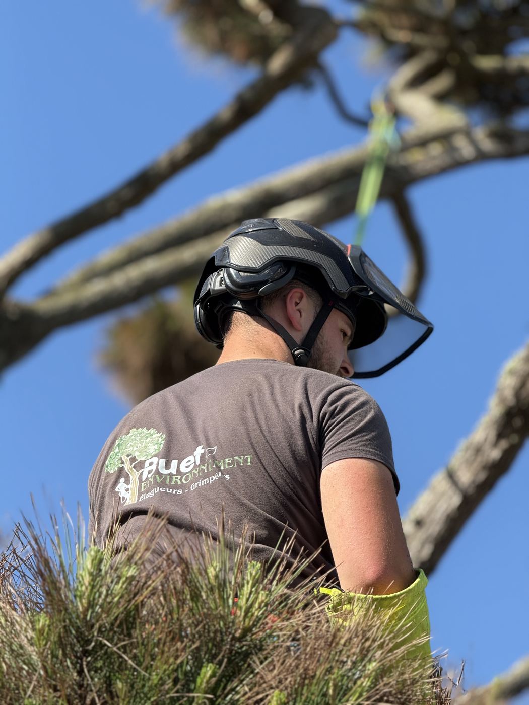 Élagueur de l’équipe Buet Environnement sur un chantier