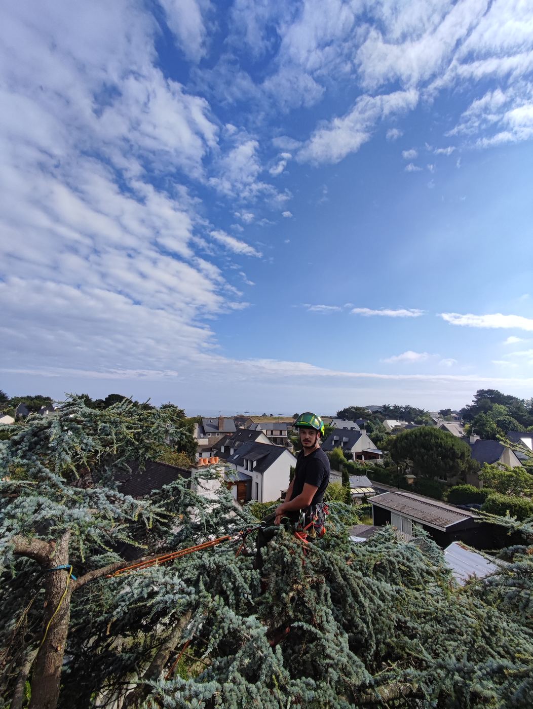 Grimpeur en tête d’arbre au-dessus de la baie