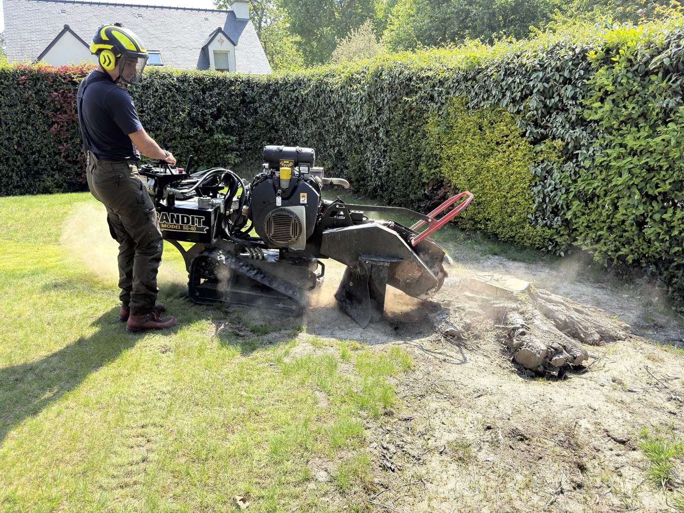 Rogneuse de souche Buet Environnement en action sur une pelouse