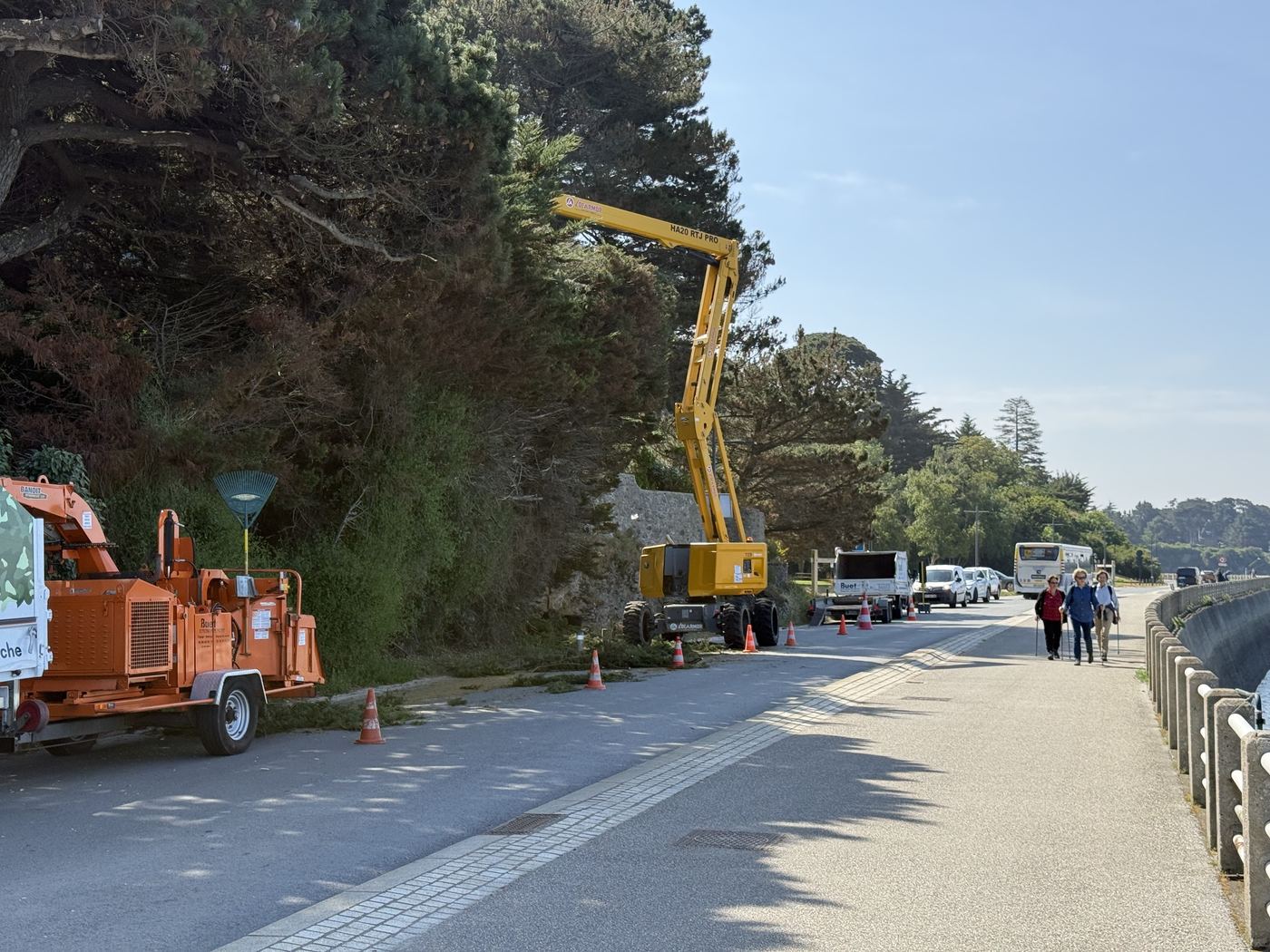 Chantier de taille en bord de route avec nacelle et broyeur Buet Environnement